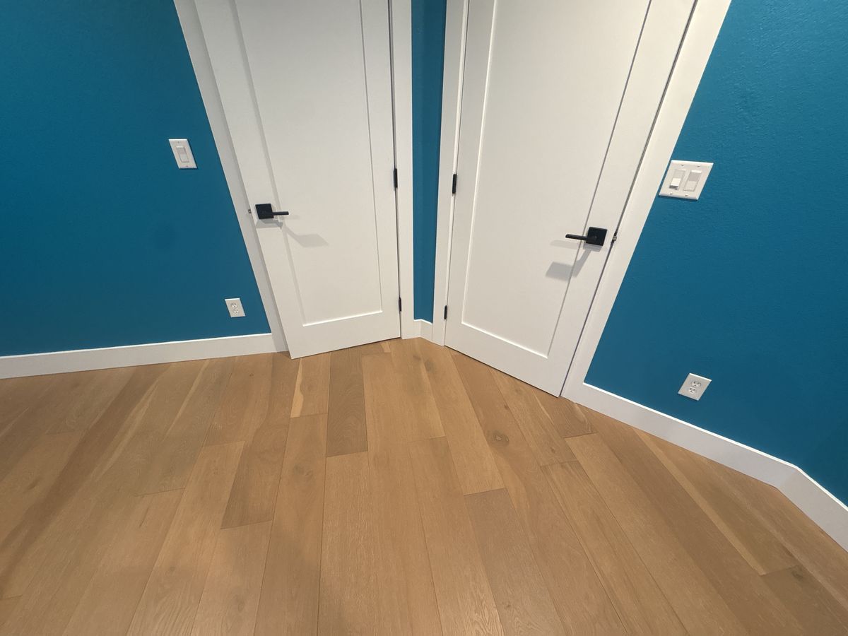 Interior painting — teal walls with crisp white doors and trim — Royal Canyon Painting, Maricopa County AZ
