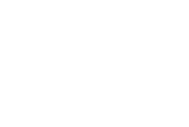 Royal Canyon Painting LLC logo — painters in Maricopa County AZ